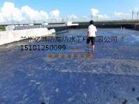 武威與蘭州防水堵漏與高性價比防水材料供應指南